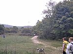 IMG_20241006_111849_1