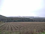 IMG_20241005_104311_1