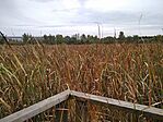 IMG_20241013_142126