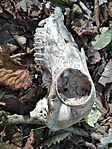 IMG_20241013_102042_1