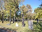 IMG_20241016_112645_1