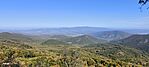 IMG_20241014_105845