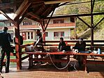 IMG_20241026_113848