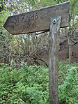 IMG_20241018_163228