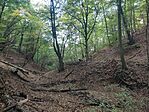 IMG_20241018_162031