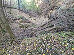 IMG_20241018_150533