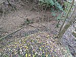 IMG_20241018_150536