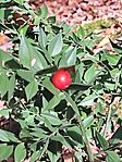 IMG_20241018_151331