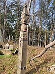 IMG_20241019_143455