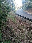 IMG_20241001_170924