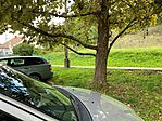 IMG_3398