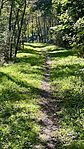 IMG_4353
