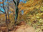 IMG_20241030_114755265