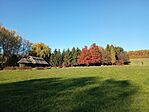 IMG_20241030_130346558