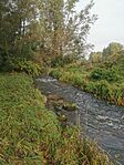 IMG_20241013_092647