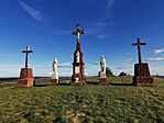 IMG_20241011_163215_1
