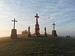IMG_20241013_072915