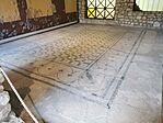 IMG_20241011_142837