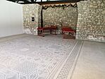 IMG_20241011_143421