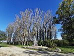 IMG_20241011_102708