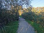 IMG_20241009_170416