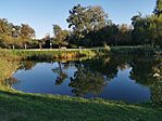 IMG_20241009_170454