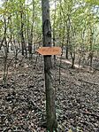 IMG_20241013_110825