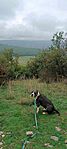 IMG_0647