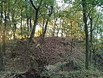 IMG_20241017_073520_HDR