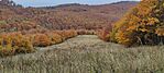 IMG_20241026_144745
