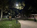 IMG_8985 Large
