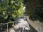 IMG_9069 Large