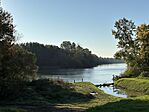 IMG_9122 Large