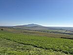 IMG_9180 Large