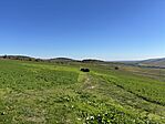 IMG_9179 Large