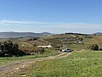 IMG_9190 Large