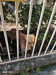 IMG_20241007_110452
