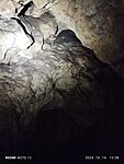 IMG_20241014_133847