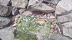 IMG_20241013_123311