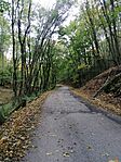 IMG_20241019_085937