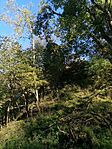 IMG_20241019_093028