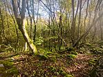 IMG_20241012_102854