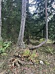 IMG_9682