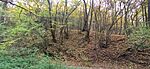 IMG_20241026_113401.jpg
