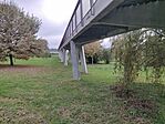 IMG_1103