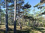 IMG_20241008_114656.jpg