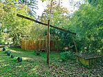 IMG_20241011_102656.jpg