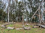 IMG_20241016_132805.jpg