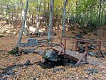 IMG_20241023_092247.jpg