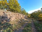 IMG_20241023_095701.jpg